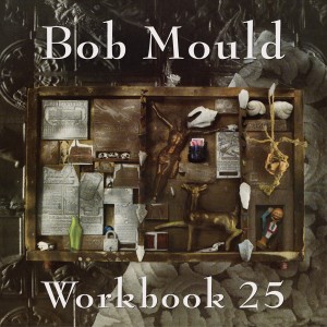 Mould_Bob_Workbook_25_OV-36-revised-300x300