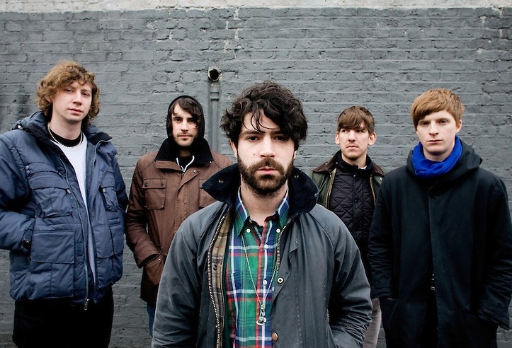 Foals