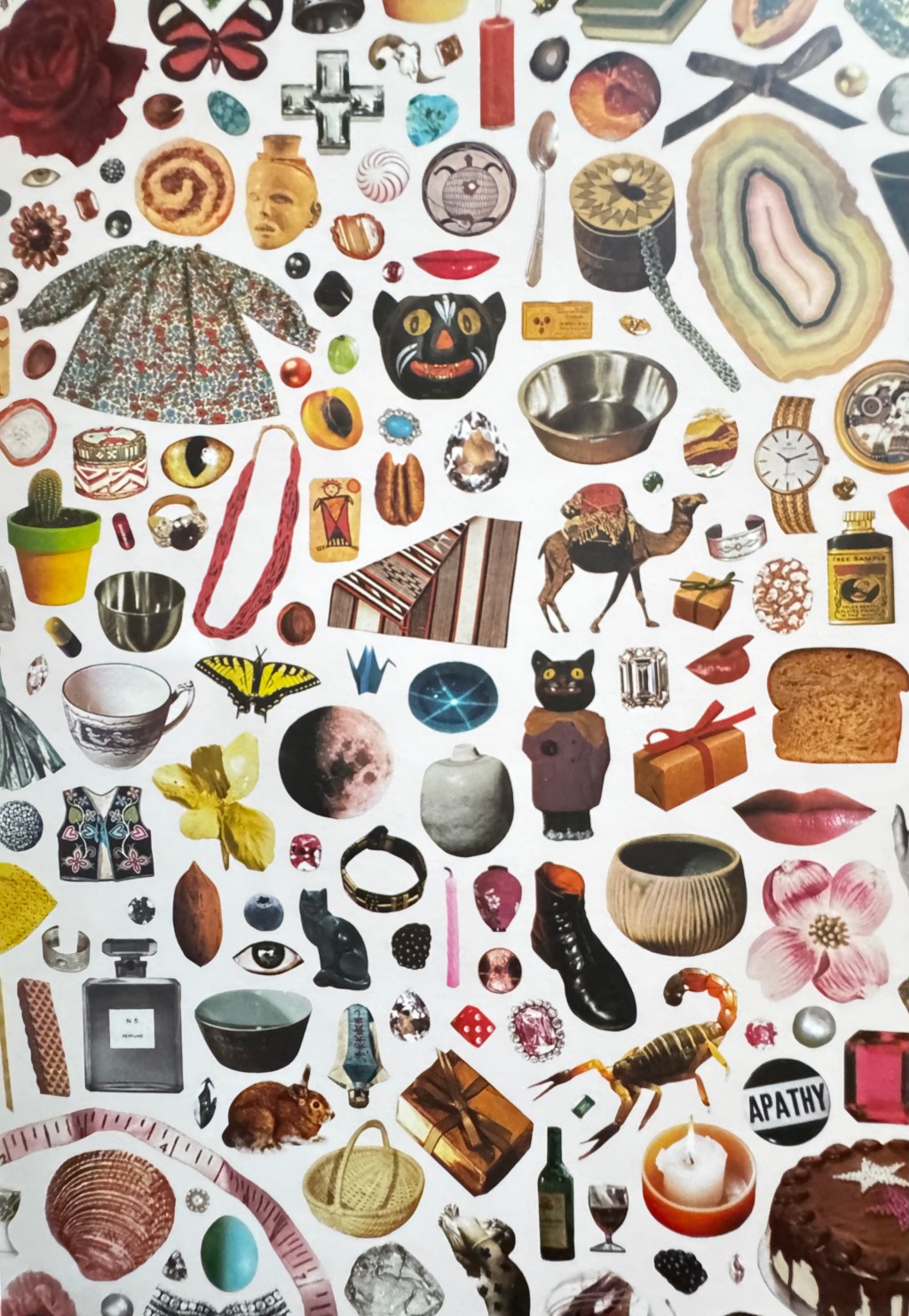 Sniffin’Glucose #15 (Season Five)&nbsp;01/01/2026